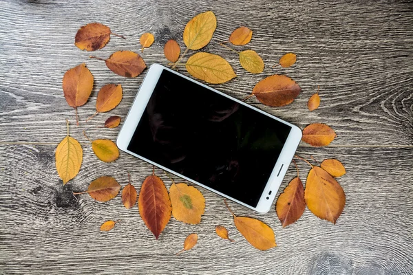 Gadget on wood and leaves — Stock Photo, Image