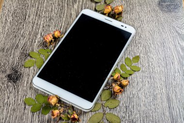 Gadget'ı ahşap ve yaprakları