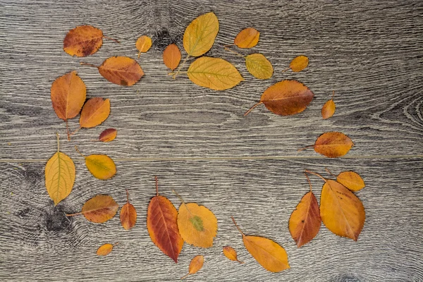 Herfst achtergrondstructuur. Foto van bladeren op hout. — Stockfoto