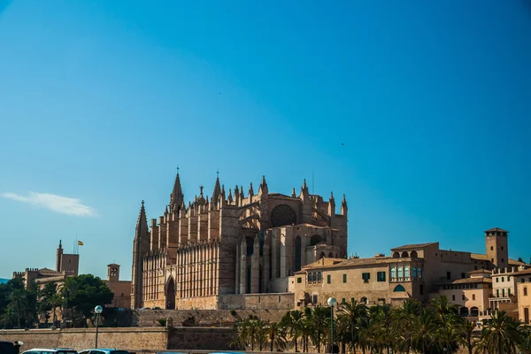 Catedral de Palma de Mallorca. —  Fotos de Stock