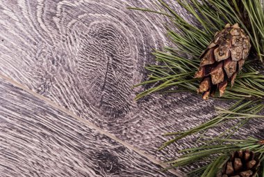 koniler ile Noel köknar ağacı