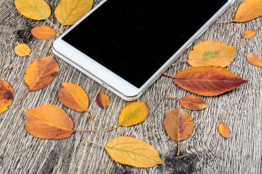 Gadget'ı ahşap ve yaprakları