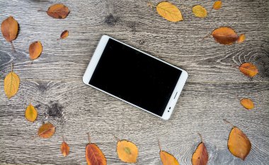 Gadget'ı ahşap ve yaprakları