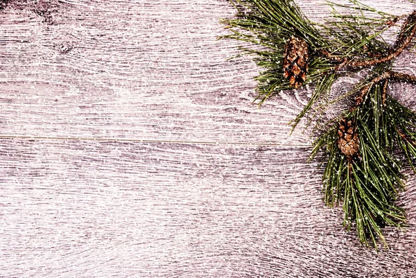 Fir kerstboom met kegels — Stockfoto