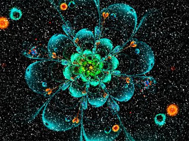 Kar ile soyut çiçek