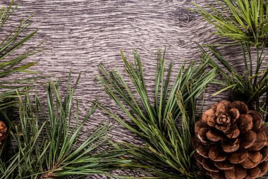 koniler ile Noel köknar ağacı