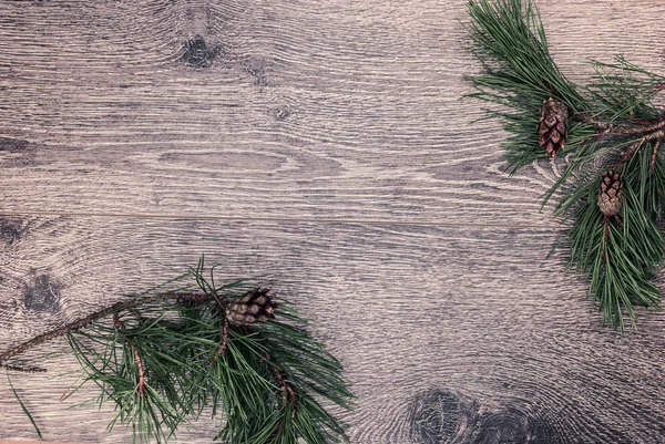 Fir kerstboom met kegels — Stockfoto