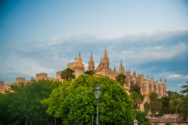 Catedral de Palma de Mallorca. —  Fotos de Stock