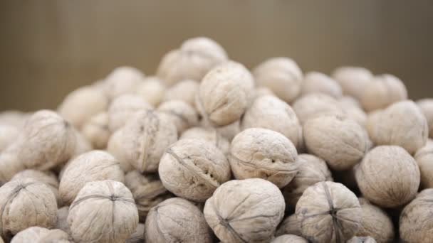 Un montón de nueces en una mesa — Vídeo de stock