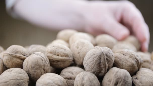 Plenty of walnuts on a table — Stock Video