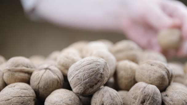 Plenty of walnuts on a table — Stock Video