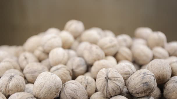 Un montón de nueces en una mesa — Vídeo de stock