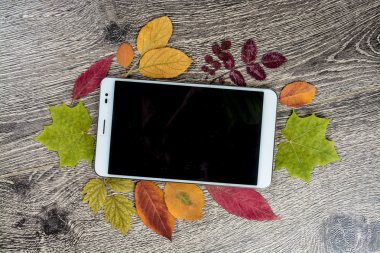 Gadget'ı ahşap ve yaprakları