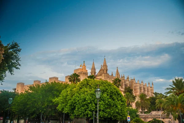 Catedral de Palma de Mallorca. —  Fotos de Stock