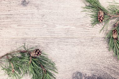 koniler ile Noel köknar ağacı