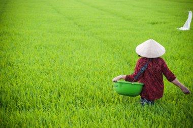 Geleneksel konik şapkalı bir kadın