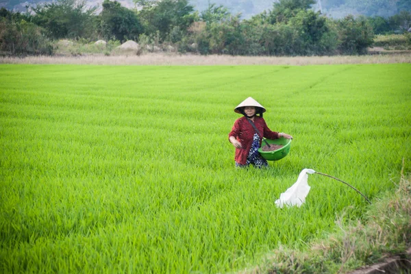 Une femme au chapeau conique traditionnel — Photo