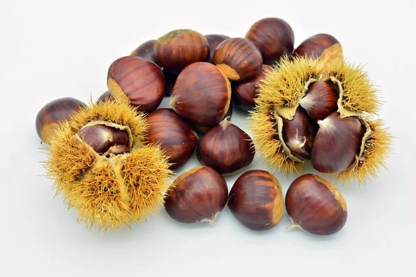 Castanhas Maduras Dentro Fora Dos Seus Ouriços Isoladas — Fotografia de Stock