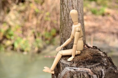 Arazide oturan tahta manken.