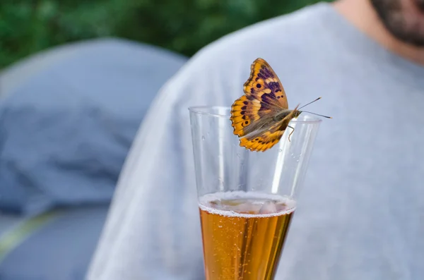 Butterfly Drinking Sparkling Wine Horizontal — Stock Photo, Image