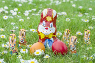 Paskalya yumurtaları çim ile sarılmış çikolata tavşanlar