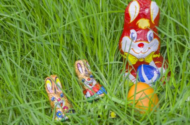 Çim Closeup Paskalya yumurta ile sarılmış çikolata tavşanlar