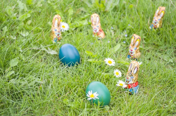 Wrapped Chocolate Bunnies with Easter Eggs in the Grass — Stock Photo, Image