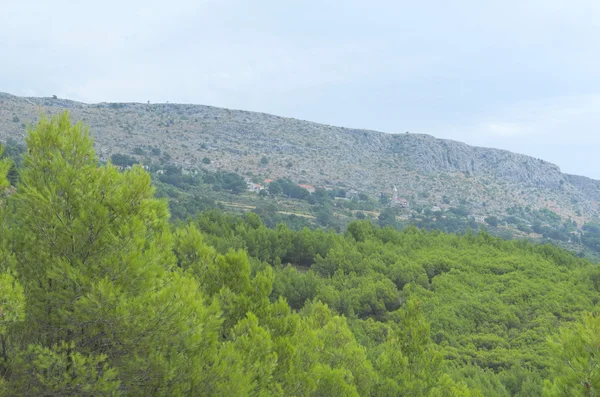 Podstrana superior, Croacia en la ladera — Foto de Stock