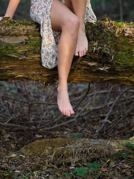 Vrouw Bloemenjurk Zittend Een Boom Het Bos Close — Stockfoto