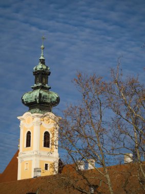 Macaristan, Gyor 'da Ağacı olan Carmelite Kilise Kulesi