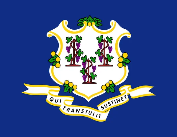 Oficjalna Duża Płaska Flaga Connecticut Horizontal — Zdjęcie stockowe