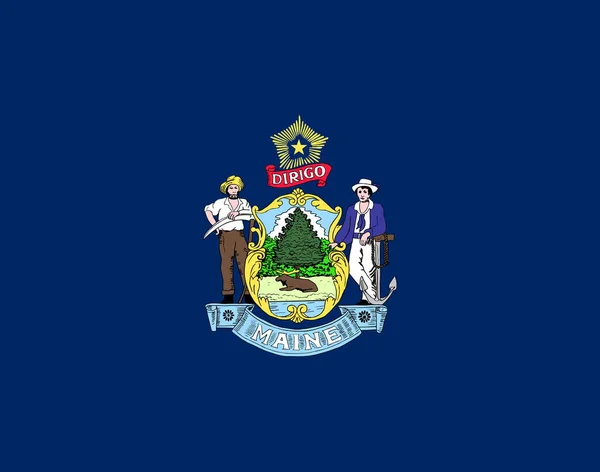 Oficjalna Duża Płaska Flaga Maine Horizontal — Zdjęcie stockowe