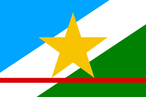 Official Large Flat Flag Roraima Horizontal — 图库照片