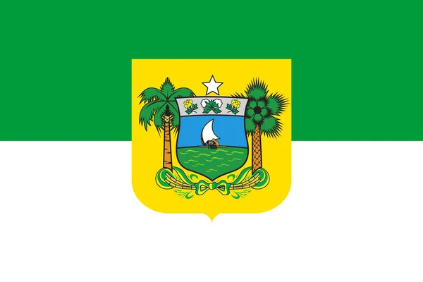 Hivatalos Nagy Lapos Zászló Rio Grande Norte Horizontal — Stock Fotó