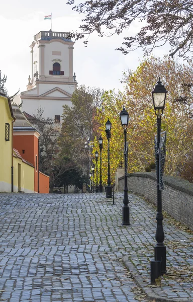 Straatmening in Gyor — Stockfoto