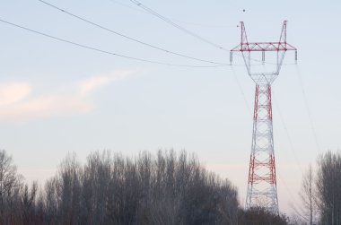 Ormanın içinde elektrik pilon