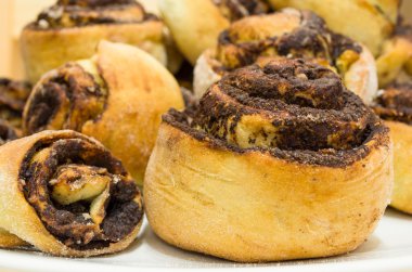 Kakao salyangoz portre