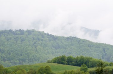 Yağmur sonra sisli dağ manzarası