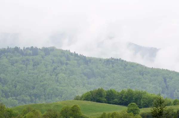 Foggy Mountain Landscape after Rain