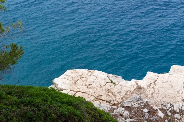 Rocks and Bush by the Sea — Stock Photo, Image