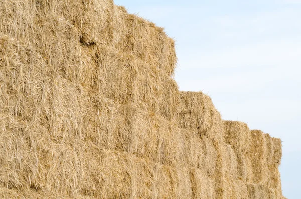 Straw Bales Horizontal — Stock Photo, Image