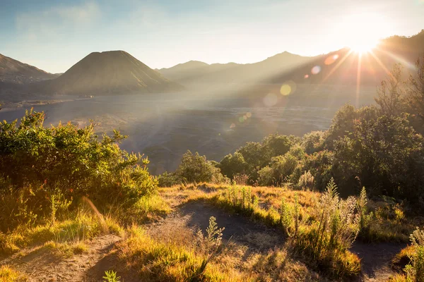 Before sunset with sun-flare at Mount Bromo volcano, the magnifi