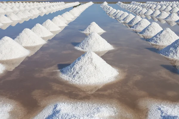 Salt in sea salt farm ready for harvest, Thailand. — Stock Photo, Image