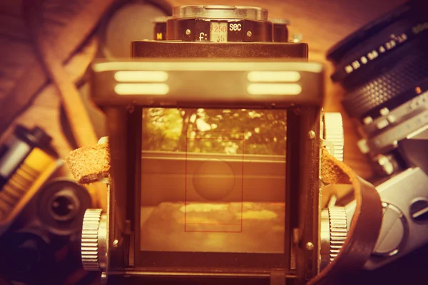 Viewfinder of a retro twin-lens camera showing a tree. Retro con — Stock Photo, Image