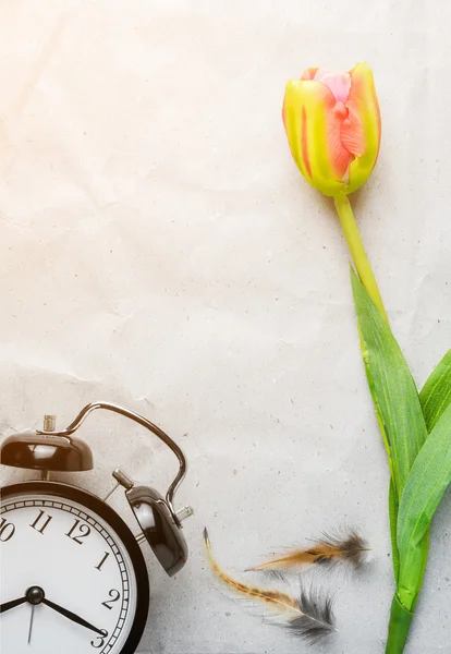 Tulipány, hodiny a kuřecí pírko na starý papír, vintage textury — Stock fotografie