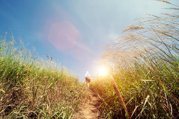 Uzun yürüyüşe çıkan kimse bir çayırlarda dağda, yumuşak l yürüyen sırt çantası ile