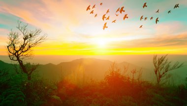 Sunrise with flare at the mountain with trees and flying birds i clipart