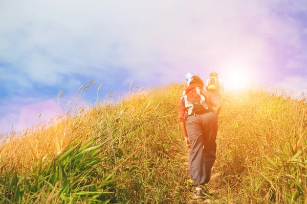Hiker with backpack walking through a meadow on mountain, soft l — Stock Photo, Image