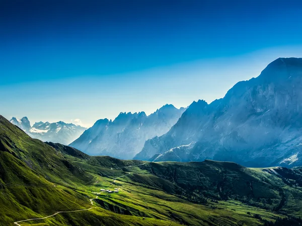 スイスの美しさ、ユングフラウ下の牧草地 — ストック写真