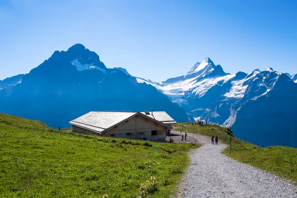 Viaggiatore contro paesaggio alpino. Regione di Jungfrau, Svizzera — Foto Stock